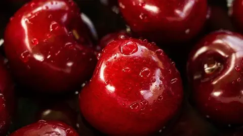 apples-918953_960_720